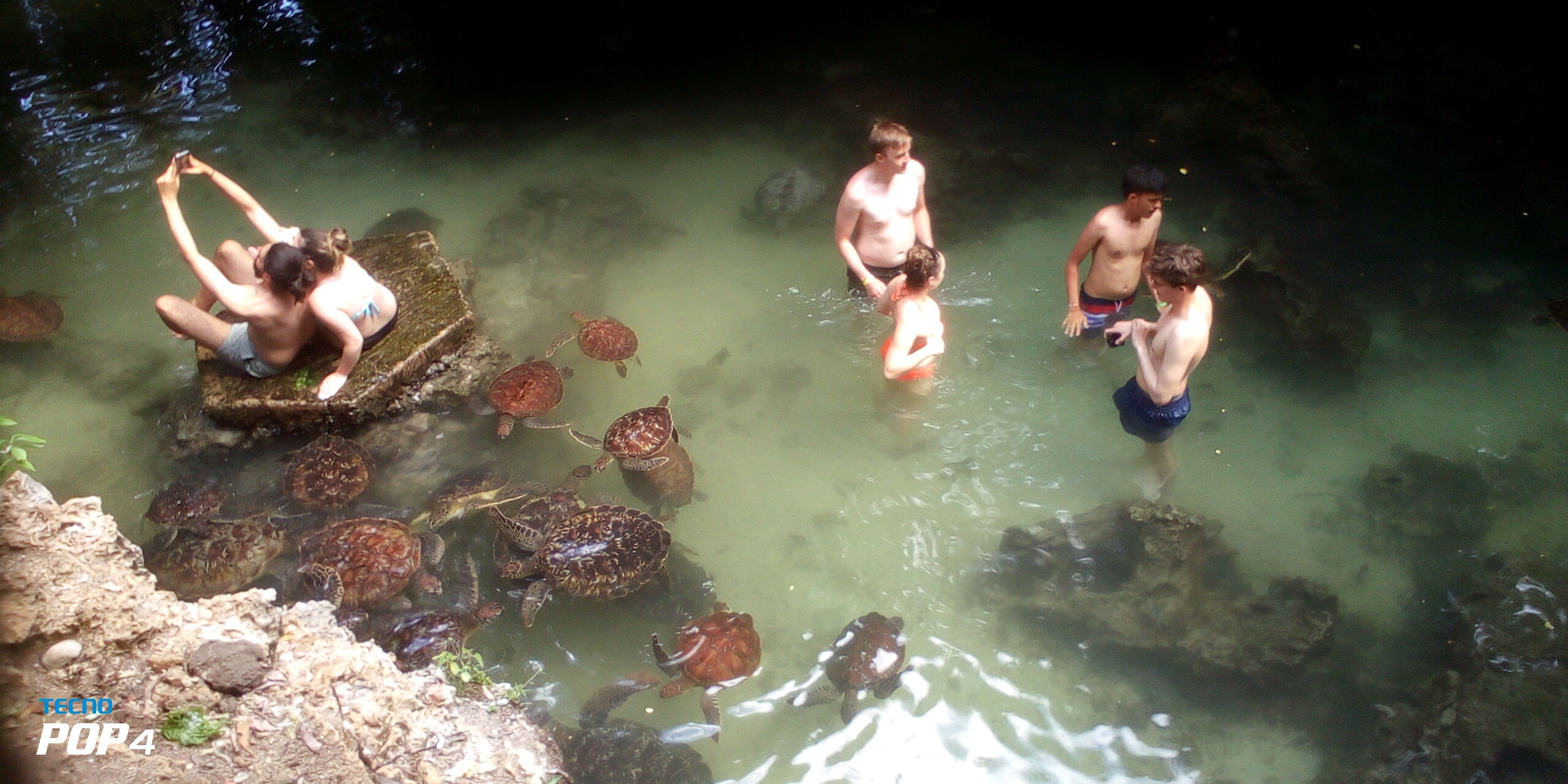 Aquarium Photo 3