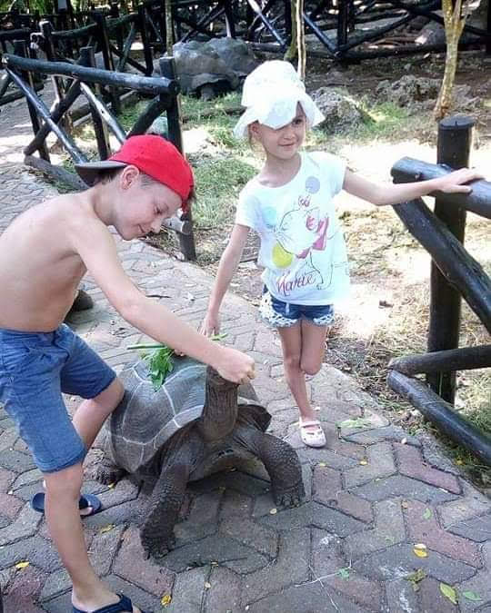 Prison Island 4