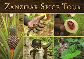 Spice Tour